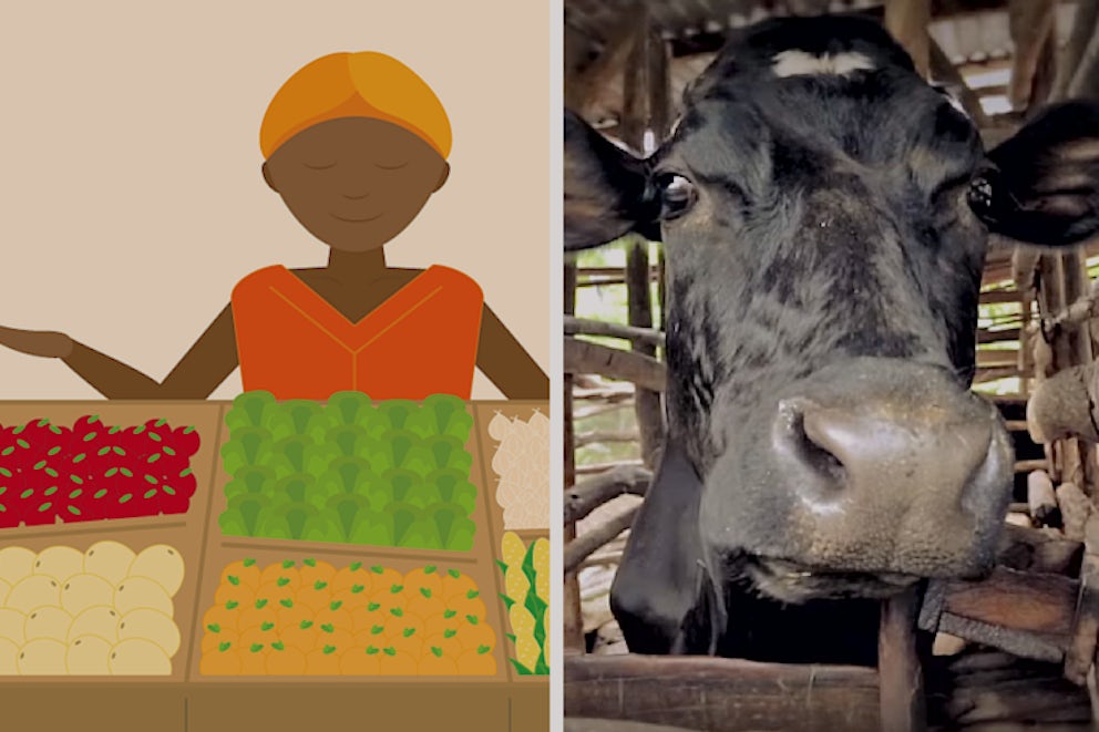 Celebrate National Agriculture Day