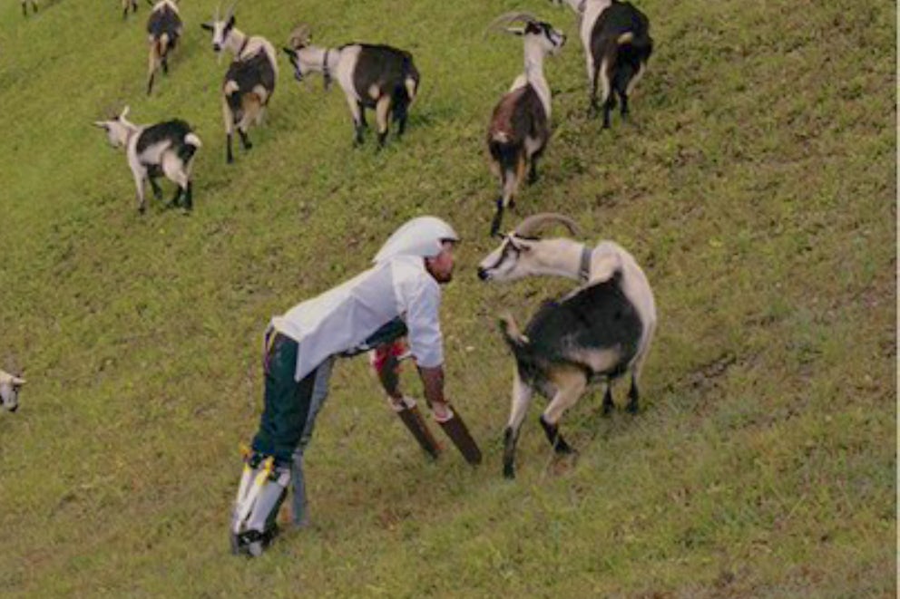 He Must Be On Grass: The Strange Story of GoatMan