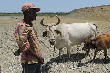 A farmer and his cow stand in the dry lake bottom.