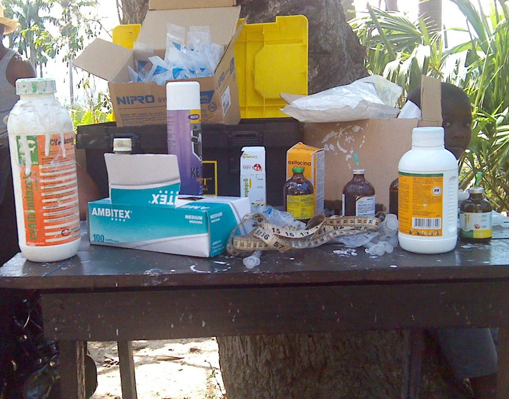 Heifer provided veterinary supplies for mobile vet clinics in the aftermath of Hurricane Matthew.