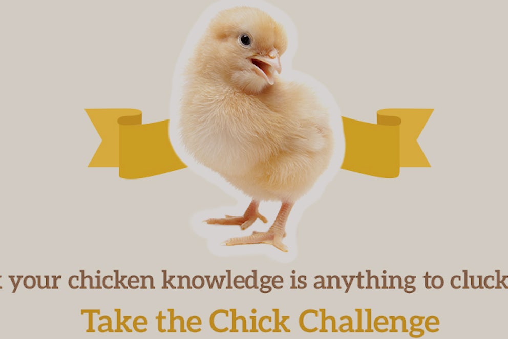 Quiz: Chick Challenge