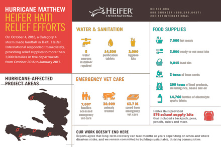 Haiti response infographic