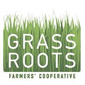 The Grassroots logo