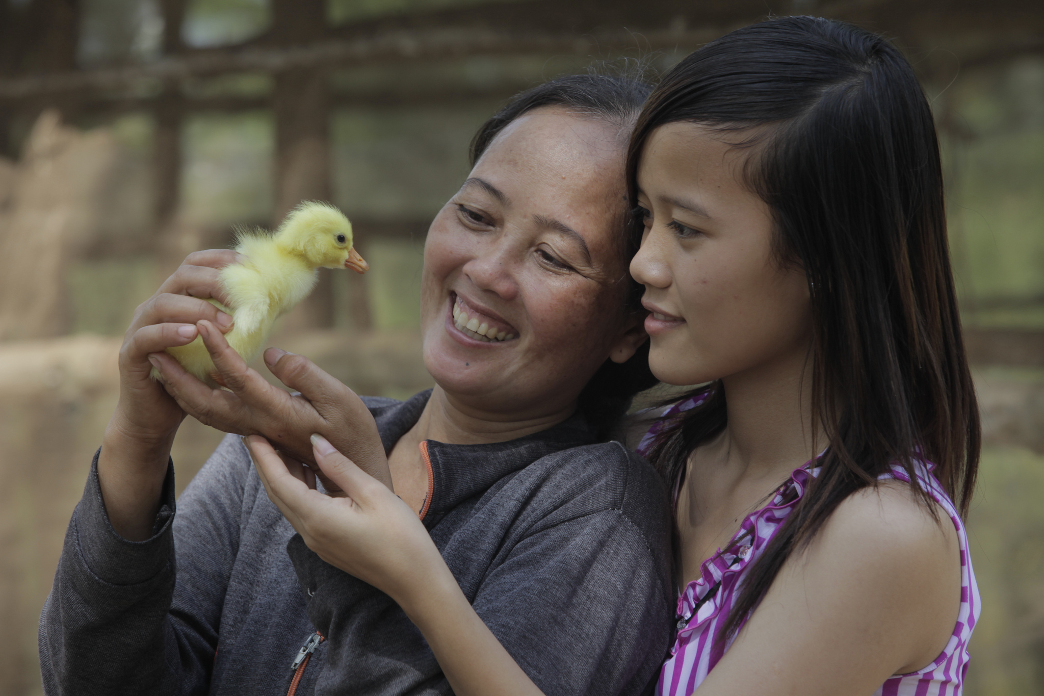 Heifer project participants in Vietnam holding a baby duck.