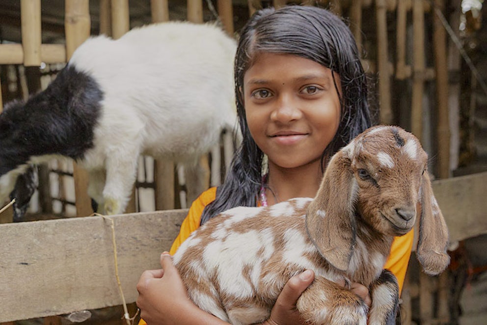 Amazon's Jeff Bezos Urged to Support Heifer International