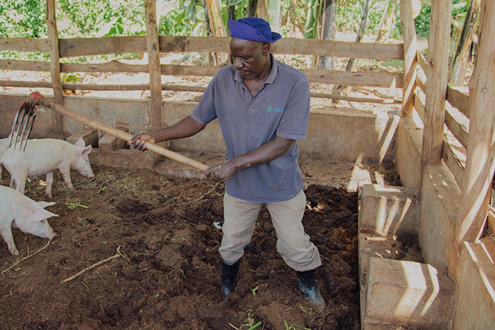 Tiny Organisms Sweeten the Soil