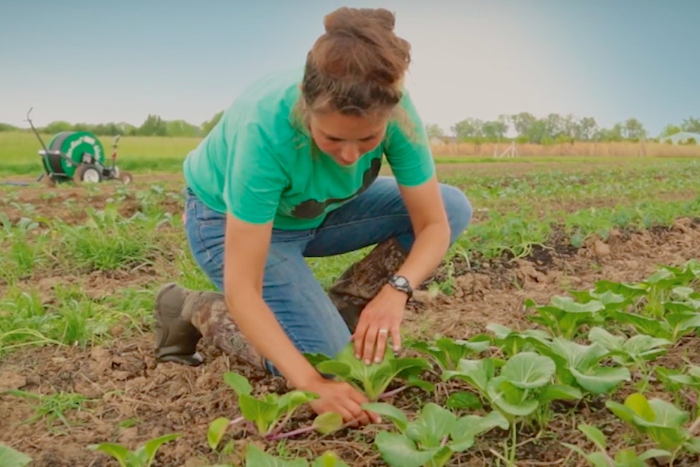Why Farming? Arkansas Farmers Ashley and Steve Dettelbach Explain