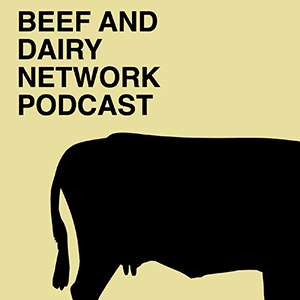Beef and Dairy Network logo