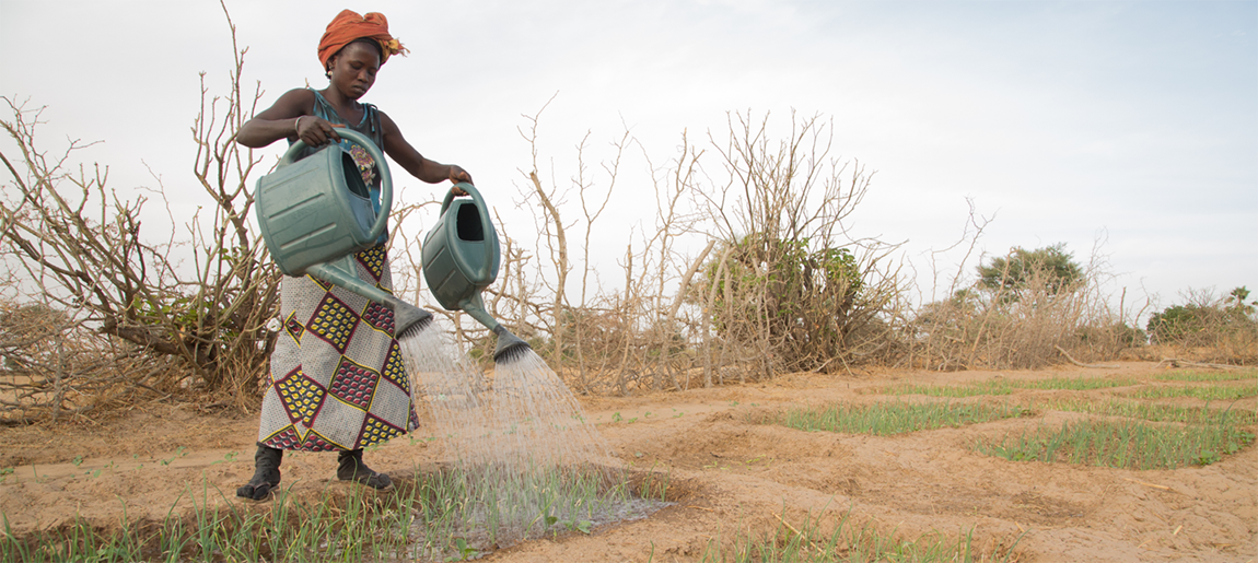 A woman waters her garden in a dry landscape.