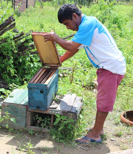 Teofilo Flores Chunga checks a beehive affected by the floods. 