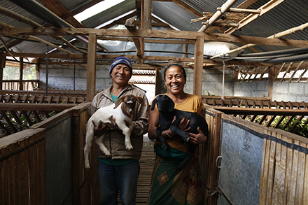 Narmaya and her husband Khem Bhadur Thapa hold a couple of their goats in their new stable.