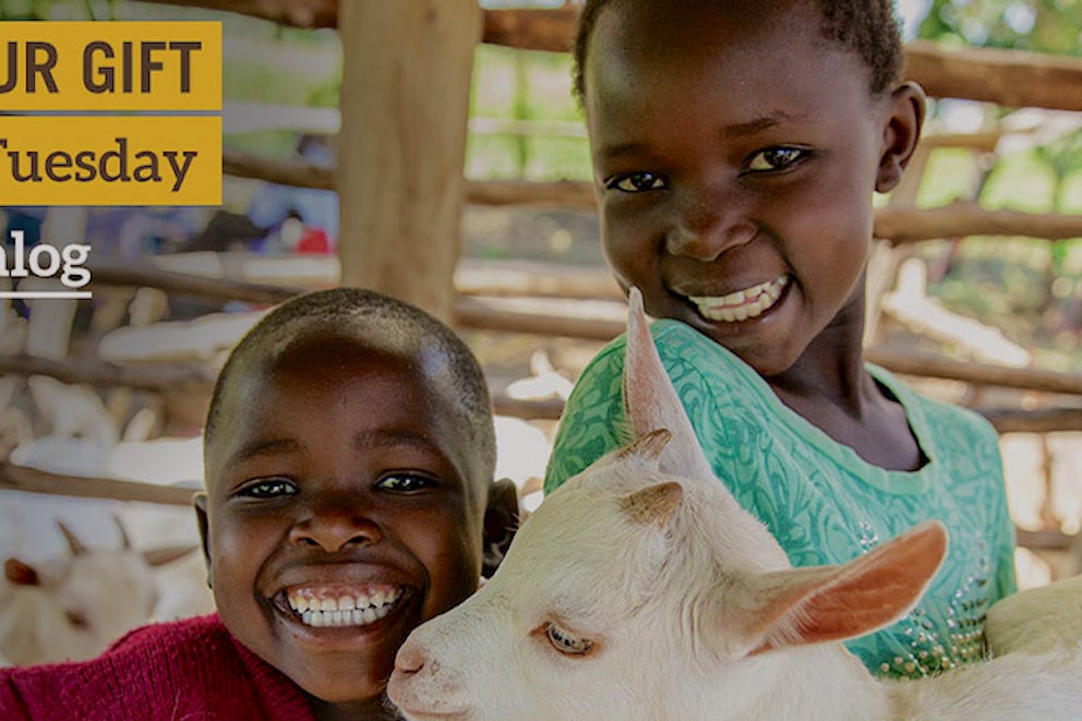 Everyone is Giving Back on #GivingTuesday