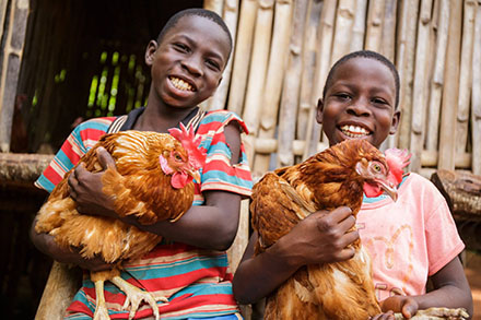 Two boys holding chickens.