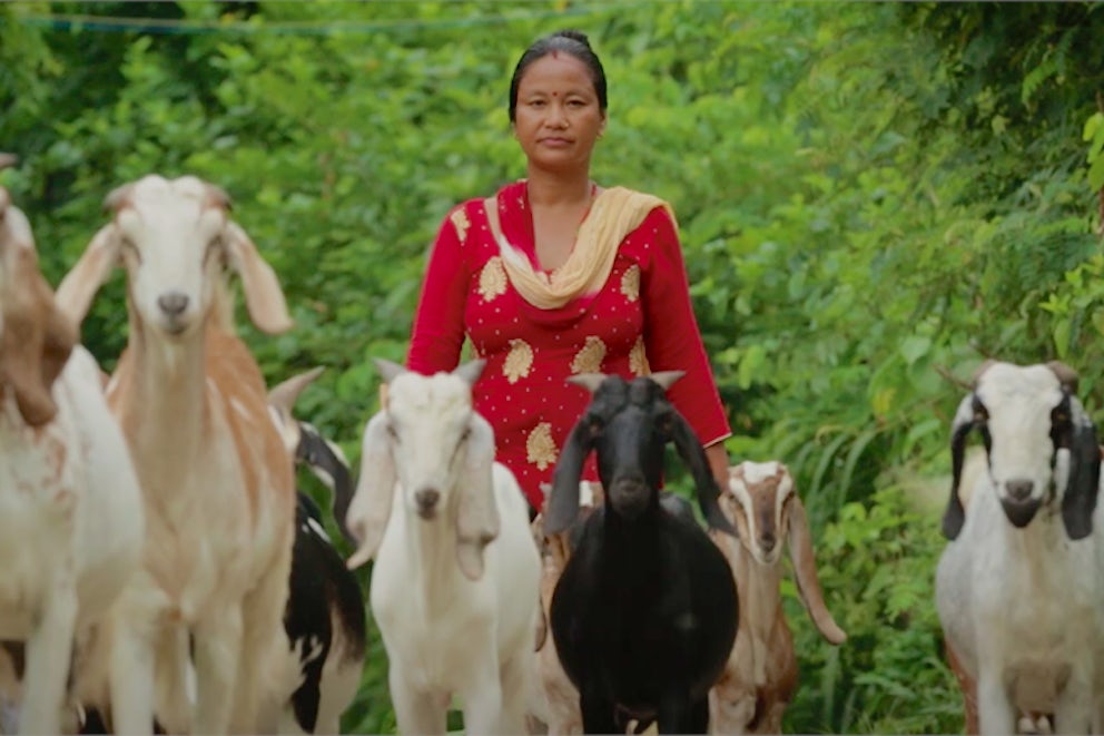 Heifer Nepal Celebrates 20th Anniversary