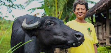 5 Things You Didn't Know About Water Buffalo Heifer International