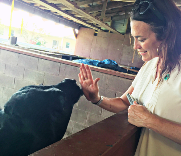 Walker visits a dairy cow at a Heifer project in Malawi.