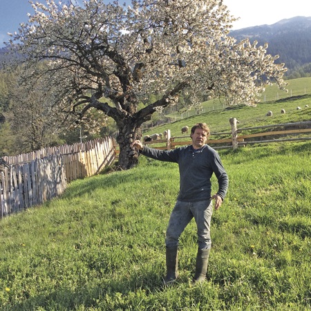 A farmer points to his fenced-in apple trees.