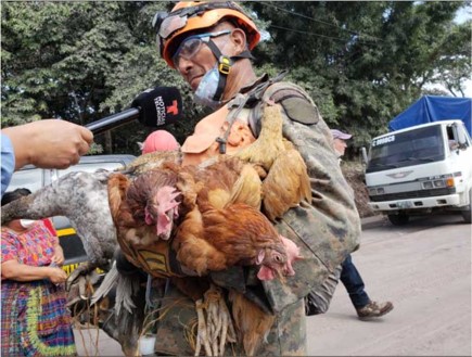 A man holding an armload of chickens.