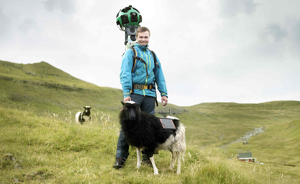 A trekker with Google's Street View camera poses with his Sheep View 360 counterpart.