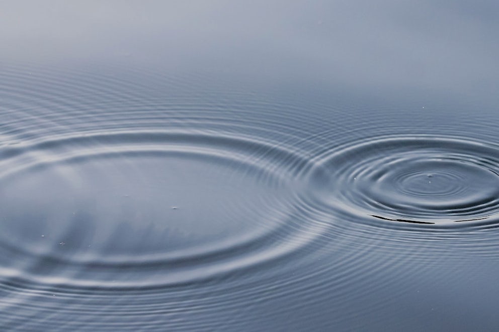 Dipping Our Toes into Something New