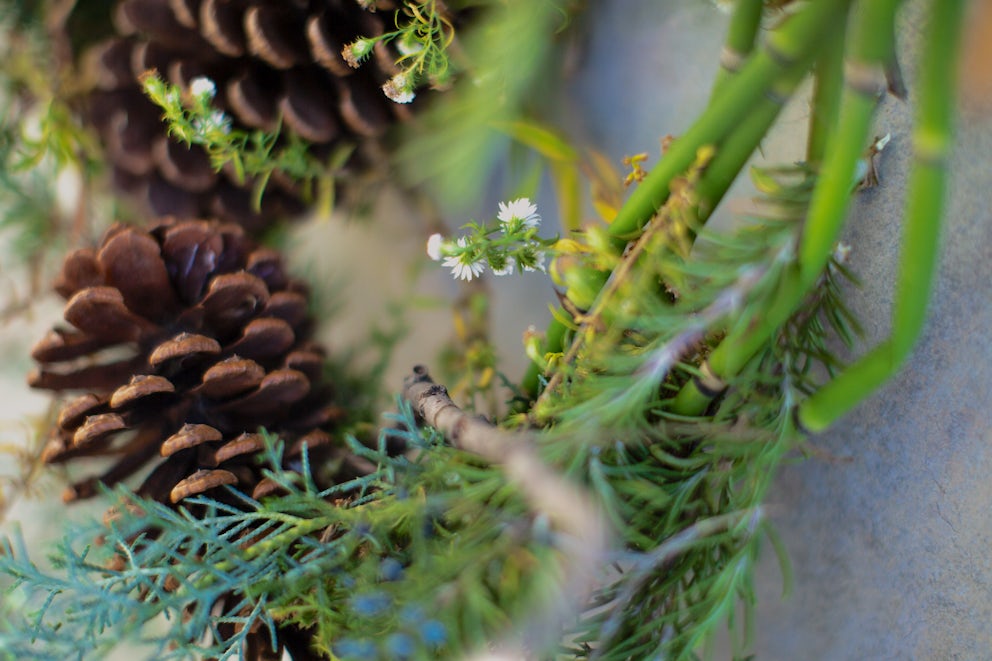 Make a Backyard Wreath for a Unique and Eco-Friendly Decorative Touch