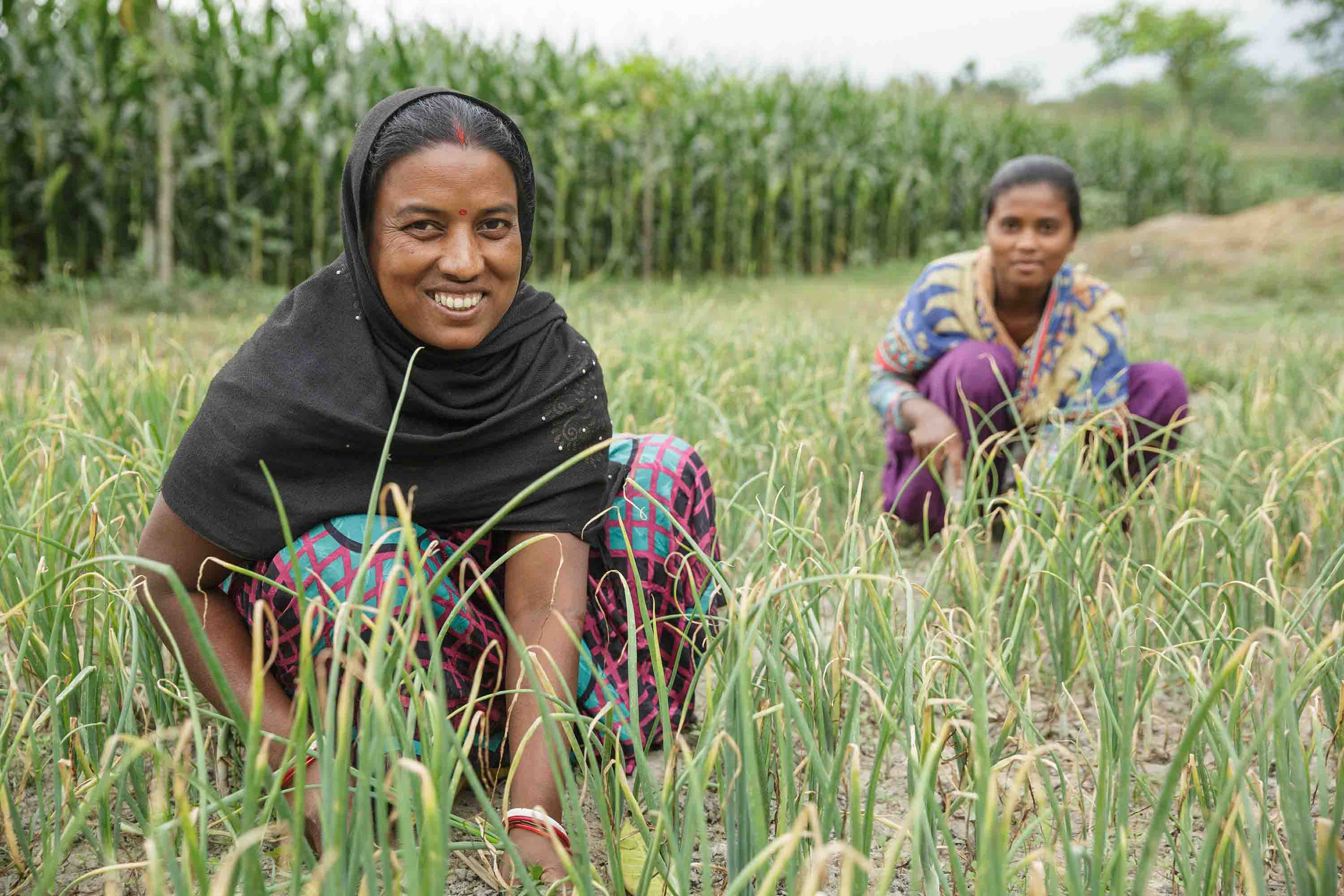 Lakshmi Kisku and her daughter Rashmi work in their onion patch together.