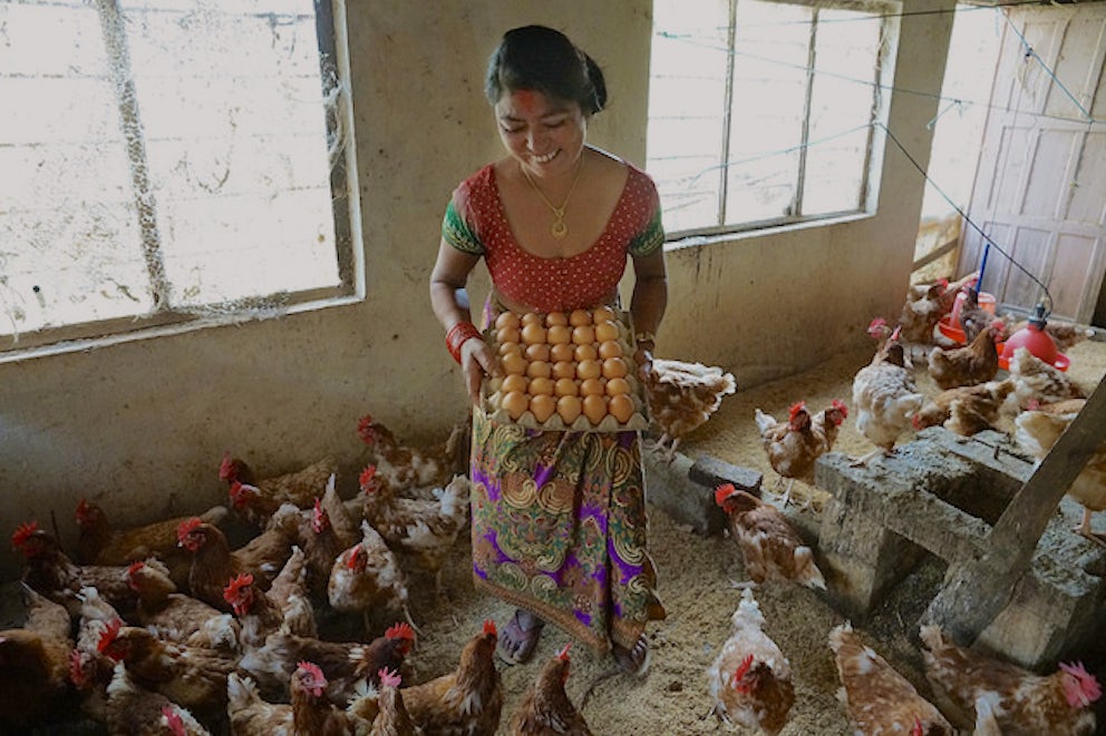 Sharmila Shakya, 38, used revolving fund money from Heifer to invest in 250 chickens. The profit from her chickens is allowing her to fund the education of her two children, ages 14 and 17.