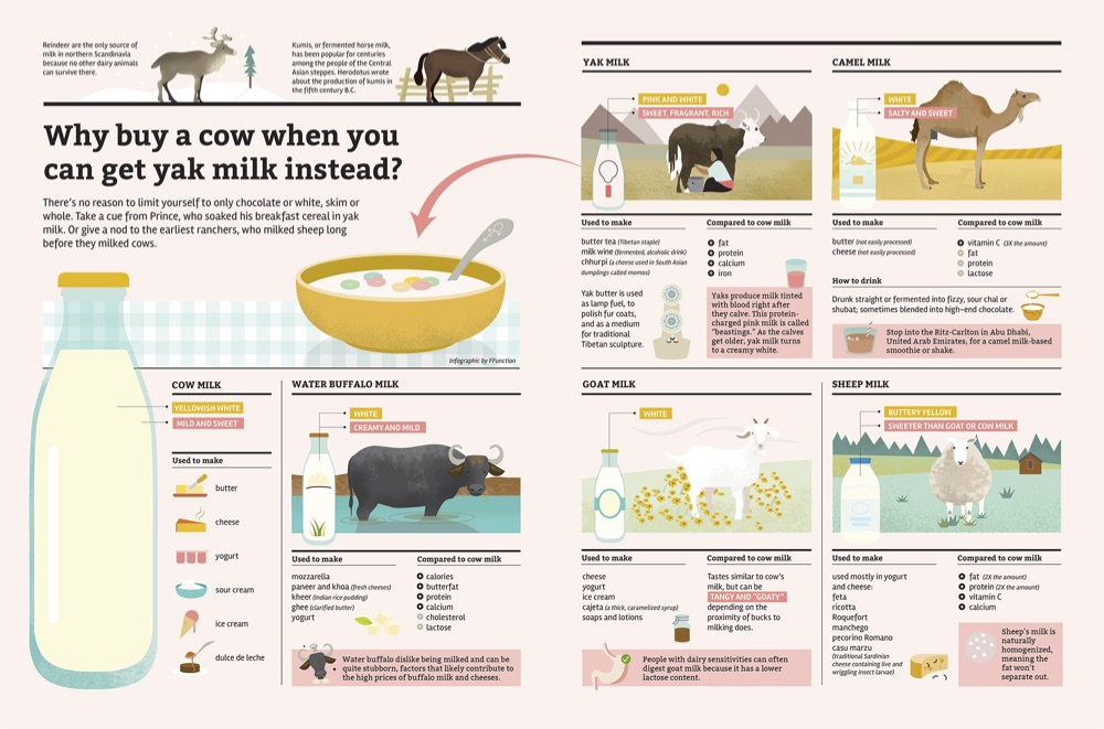 How do other animal milks taste? Here's an overview of how they compare