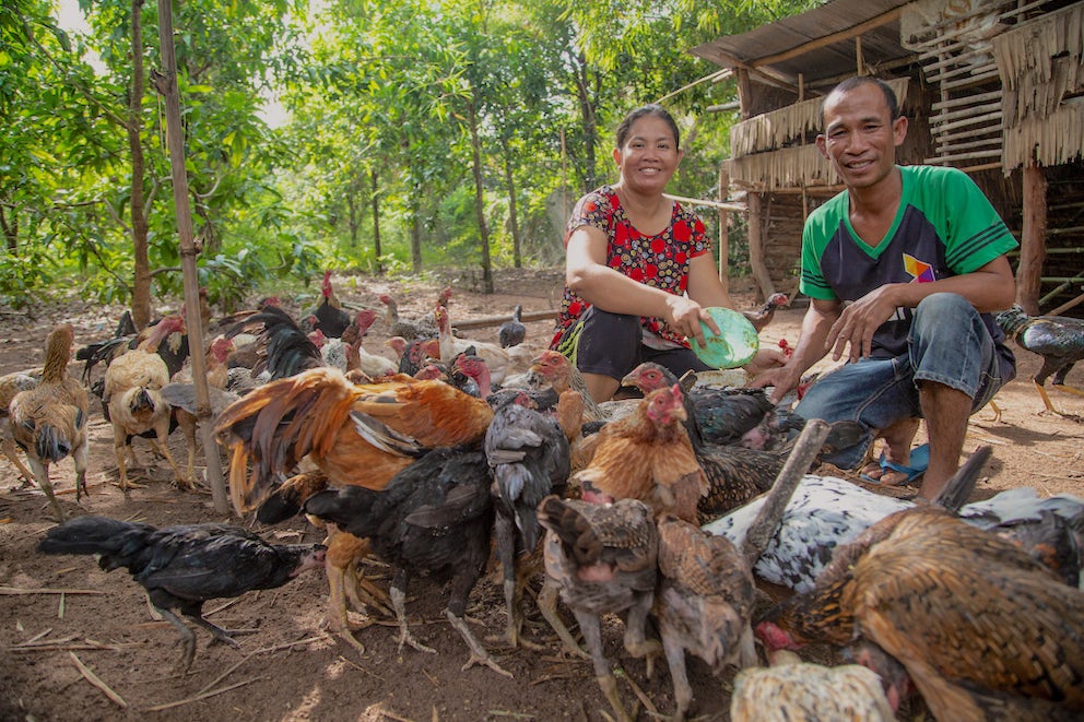 Migrant No More: How Chickens Are Keeping Families Together in Cambodia