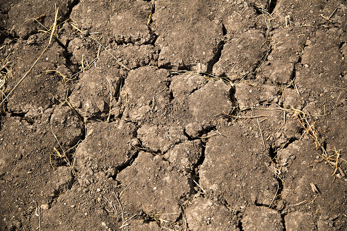 A close up of cracked, dry soil.