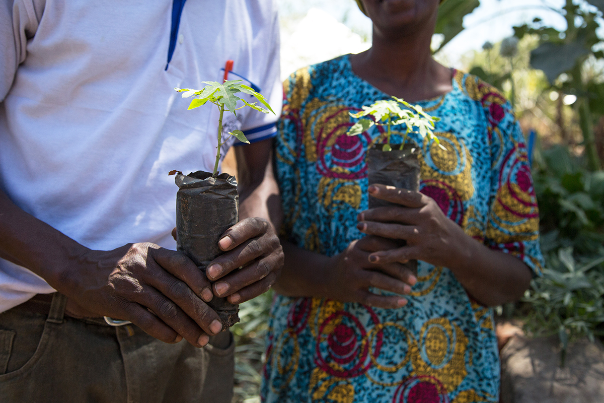 A close up of Socha and Stella's hands holding small plants.