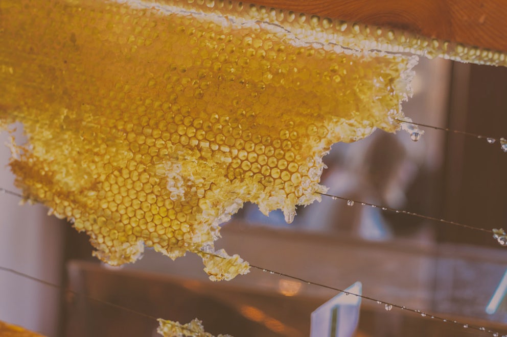 Sweet News For Bees and Former Honey Poachers In Rwanda