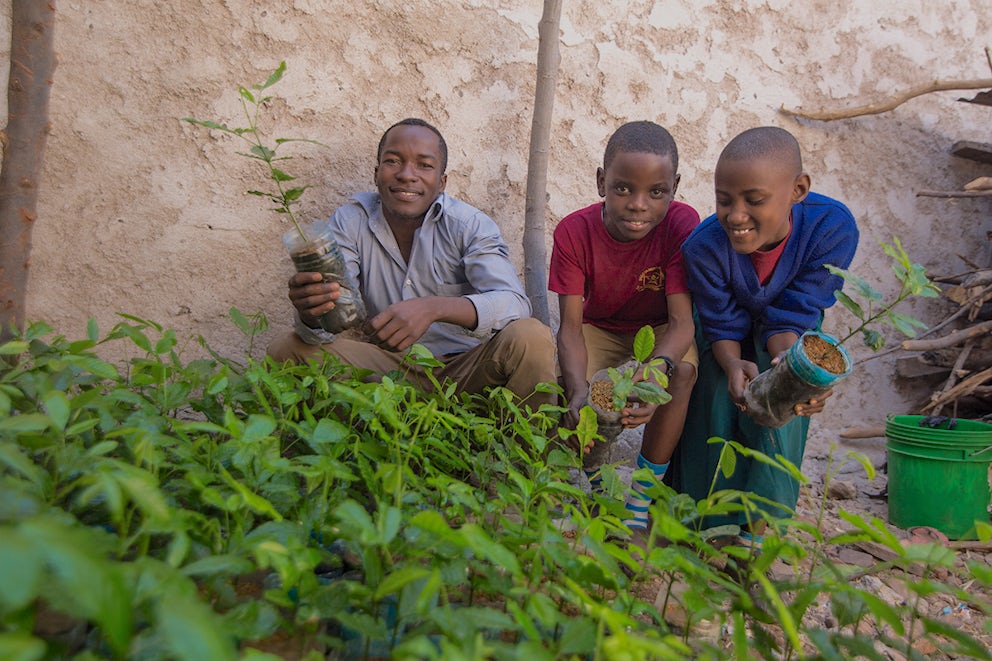 Frederick (M), his classmate Irene (R), and their environmental studies teacher Mr. Moyo (L) examine seedlings in the school's baby tree incubator.