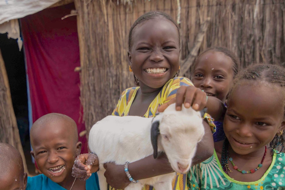 Eliminating Poverty: Forging Ahead on Heifer International's 75th Anniversary
