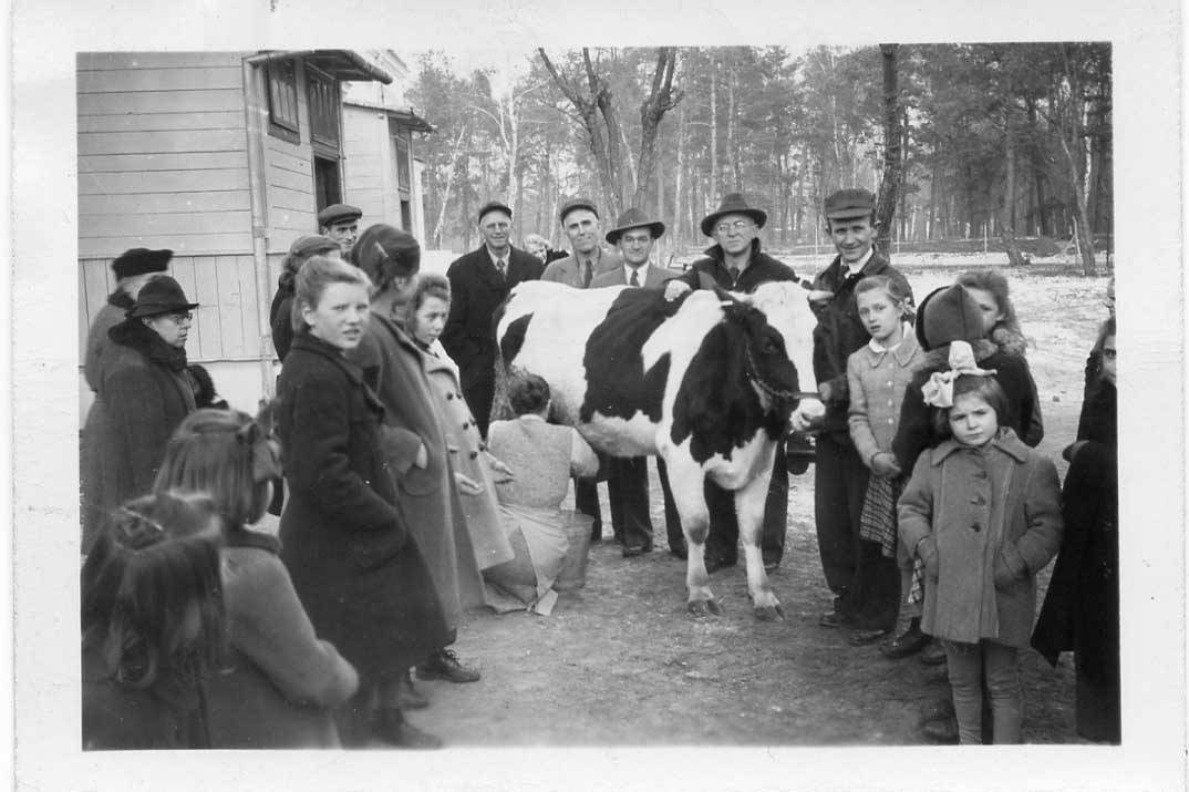 Hope the cow was given to the Konstancin Orphanage outside of Warsaw, Poland. It’s a picture taken on Christmas Day 1946. 