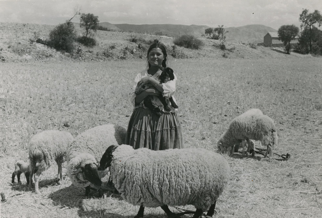 A black and white image of an indigenous Bolivian woman holding a day-old sheep, donated by Heifer Project.