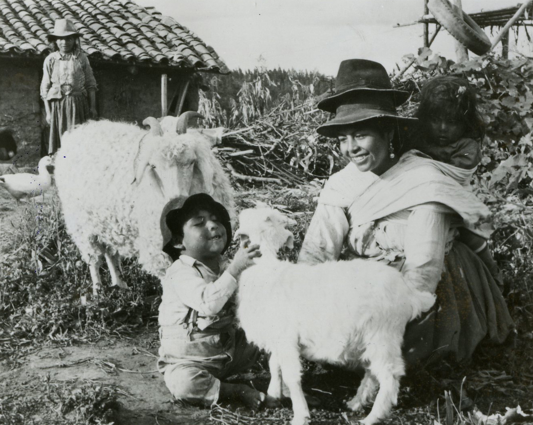 A child pets a Heifer-donated goat as his mother looks on.