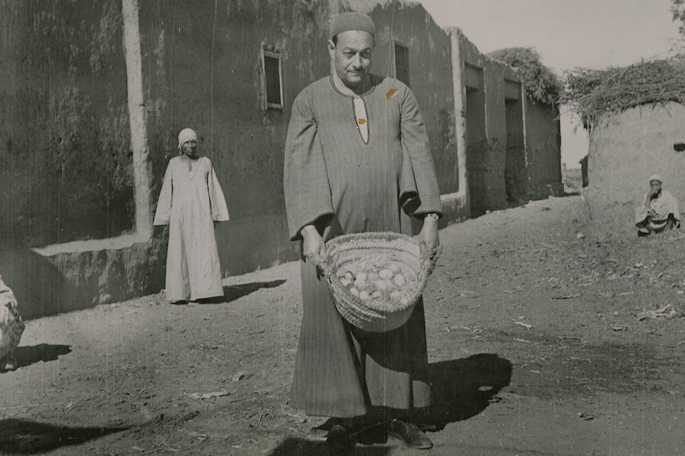 Remembering the Time We Flew 100,000 Chicks to Egypt in the 1950s