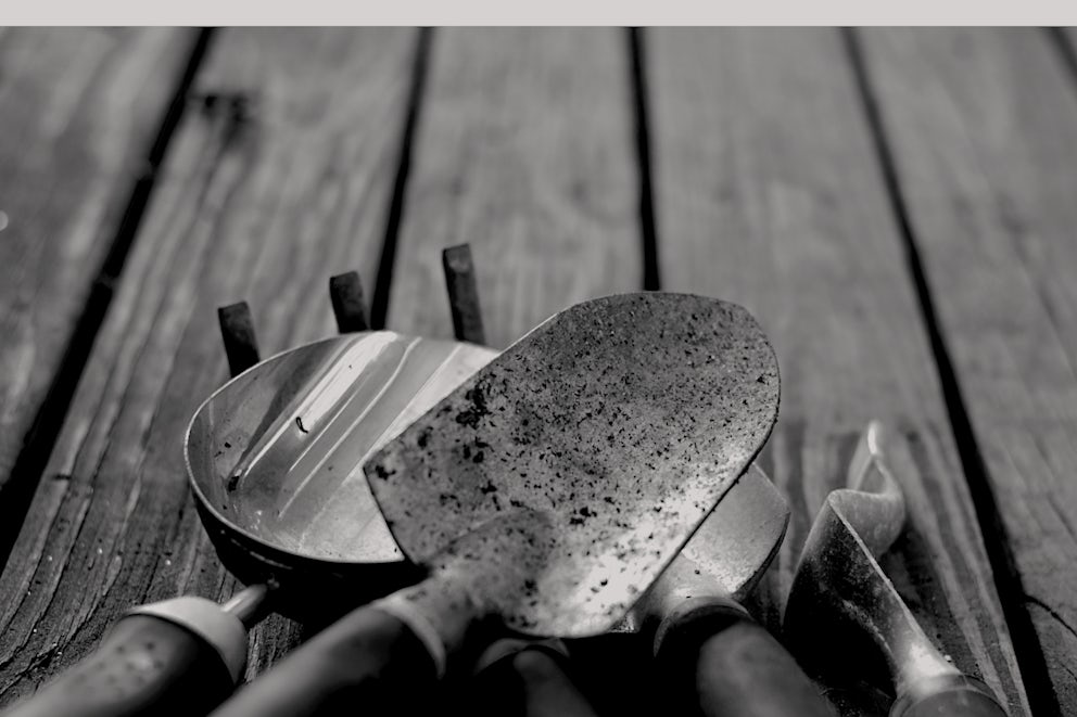 Sometimes with weeding, you can't avoid getting your hands dirty. Photo by John Bogna on Unsplash