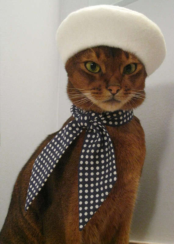 A tabby cat wears a white baret and black polka dotted ascot.