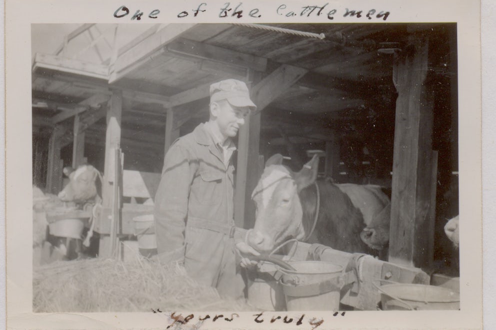 Old black and white photo of a seagoing cattleman filling up one of the Heifer's water buckets