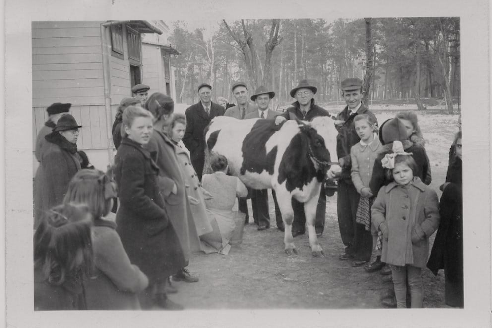 A vintage black and white photo of a group of people, standing in a circle around a woman milking a cow