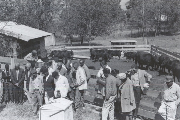 Community members say a prayer of dedication before receiving heifers as a part of the project in Prentiss.