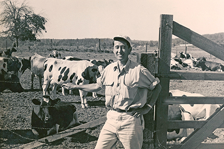 Rev. Alpha Takegi stands in front of heifers to be shipped to Japan.