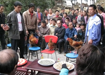 Lin Fengcheng teaching and presenting his chicken-rearing skills.