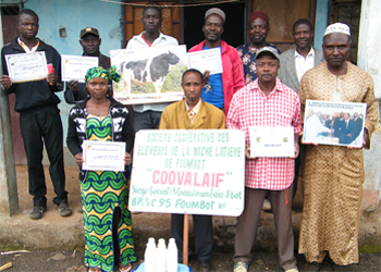 Members of the Societe Des Eleveur De Vache Laitier De Foumbot agricultural cooperative