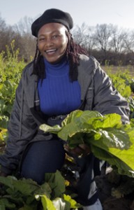 Velma Caruthers picks mustard greens at her home in St Francis County, Arkansas on January 30, 2012.