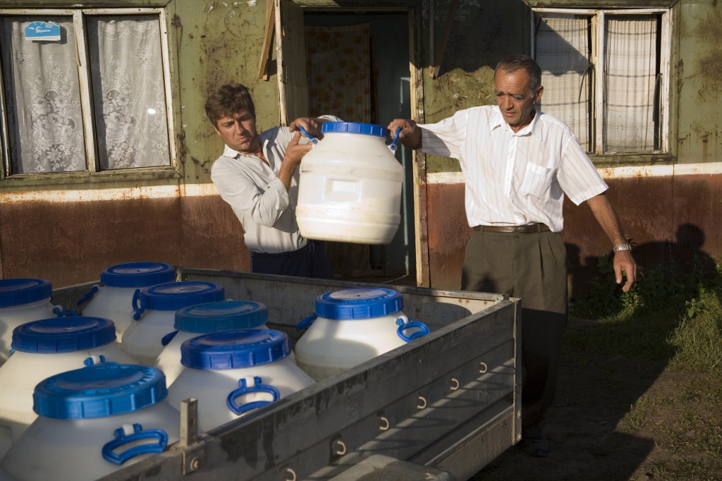 Cooperative milk collection