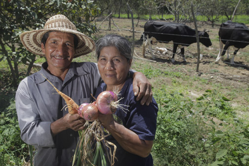 Victor and Virginia of Ecuador's Sinchal community share produce they have grown.
