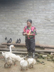 She is feeding the geese
